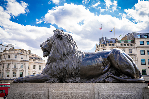 Lion statue in London Trafalgar Square in a sunny summer blue sky day. Called: The Landseer Lions