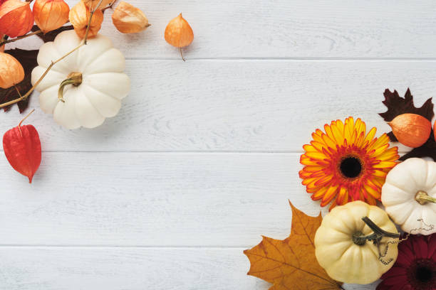 Halloween festive autumn background. Autumn decor from pumpkins, berries, maple leaves and chestnuts on old rustic white wooden backgrounds. Concept of Thanksgiving day Halloween. Top view copy space stock photo