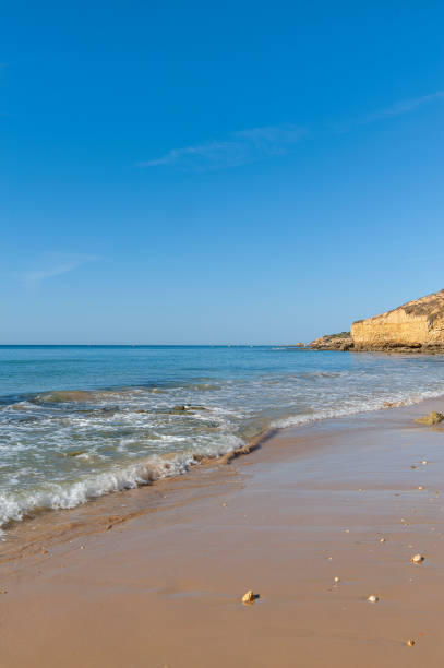 istock Praia Maria Luisa in Albufeira 1434148277