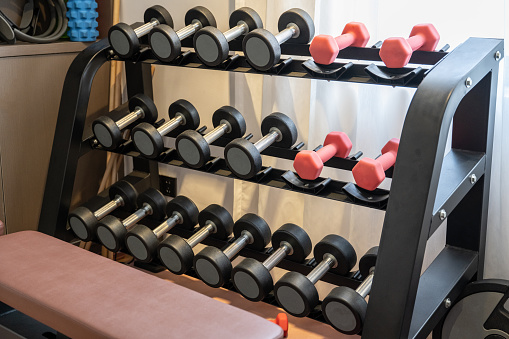 Dumbbell stand in the gym