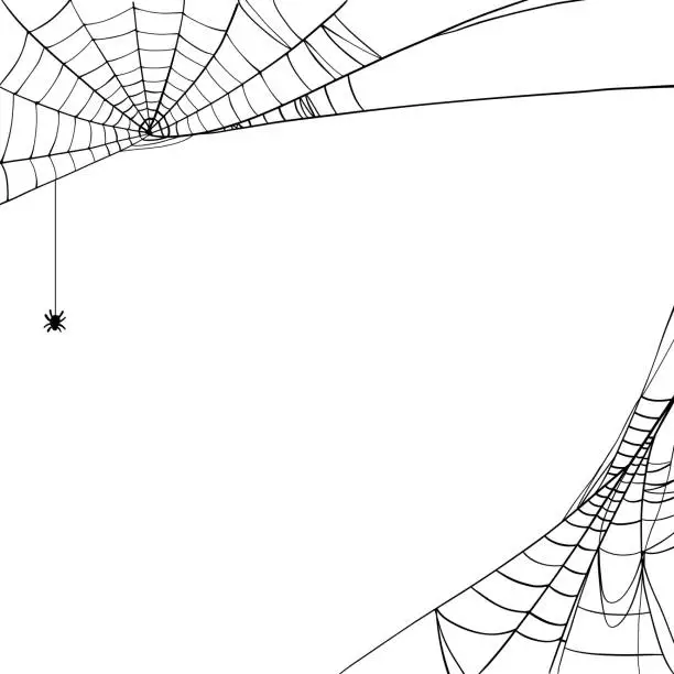 Vector illustration of spider webs