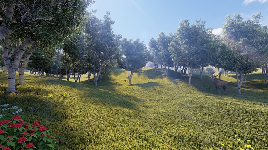 Landscape of green forest and meadow with clear blue sky in summer, 3d rendering