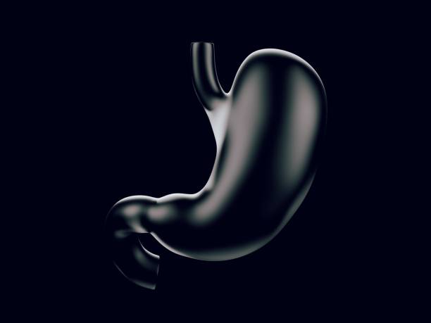 Human stomach made of glass