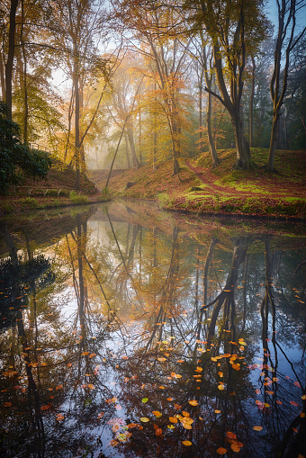 Fairytale autumn forest during a foggy morning. The trees and the sky reflect beautifully in the stagnant water of the lake. The ground is covered with moss and leaves. There are some loose leaves floating in the water of the lake.