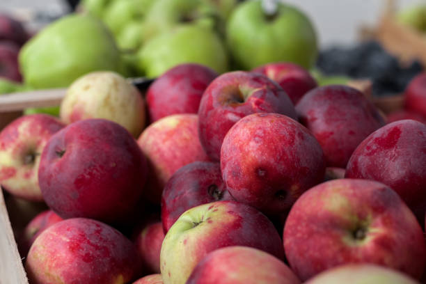 istock Apples at the fair. 1434153550