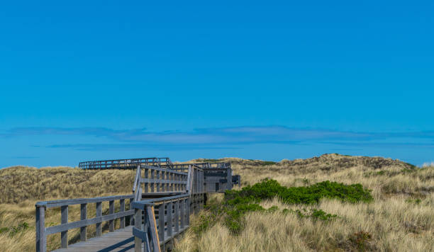 istock Wooden Bridge through Dune Landscape Sylt Germany 1434153564