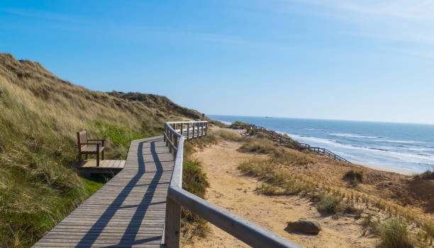 istock Wooden Bridge through Dunes Sylt Germany 1434154341