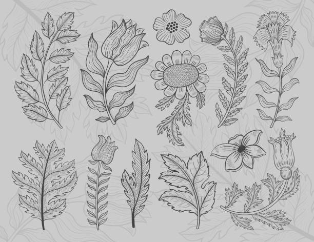 ilustrações de stock, clip art, desenhos animados e ícones de collection vintage floral motif. william moriss style art and craft movement. design outline flower symbol. - stem assunto