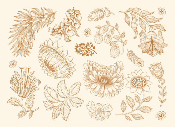 ilustrações de stock, clip art, desenhos animados e ícones de collection vintage floral motif. william moriss style art and craft movement. design outline flower symbol. - stem assunto