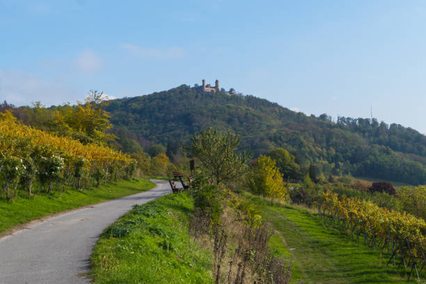 오덴발트 독일을 통과하는 하이킹 트레일 - odenwald 뉴스 사진 이미지