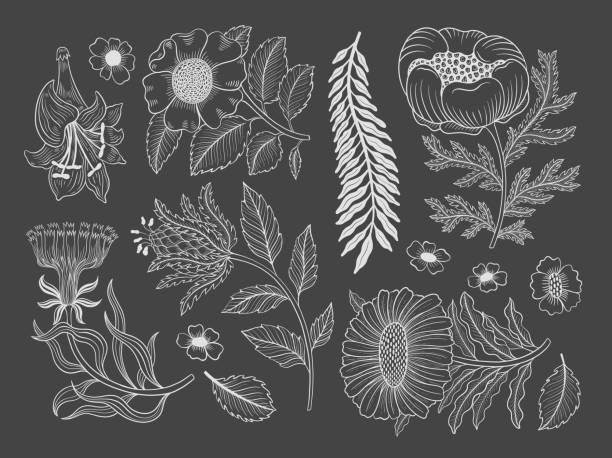 Collection vintage floral motif. William Moriss style art and craft movement. Design outline flower symbol. Collection vintage floral motif. William Moriss style art and craft movement. Design outline flower symbol. Vector illustration. william morris art stock illustrations