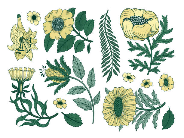 ilustrações de stock, clip art, desenhos animados e ícones de collection vintage floral motif. william moriss style art and craft movement. design outline flower symbol. - stem assunto