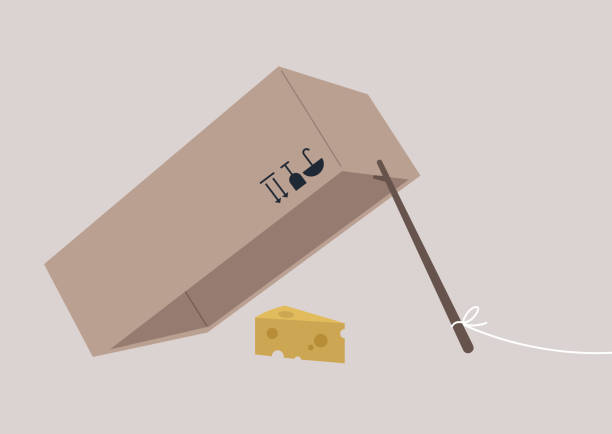 eine box-and-stick-falle, ein mechanismus zum lebendfangen mit einem stück käse - versuchung stock-grafiken, -clipart, -cartoons und -symbole