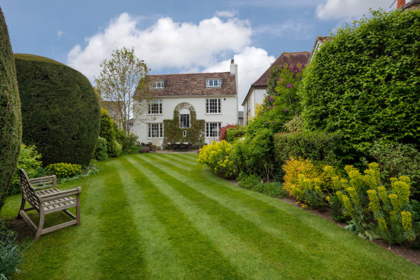 Farm, UK, Agricultural Field, Front or Back Yard, England