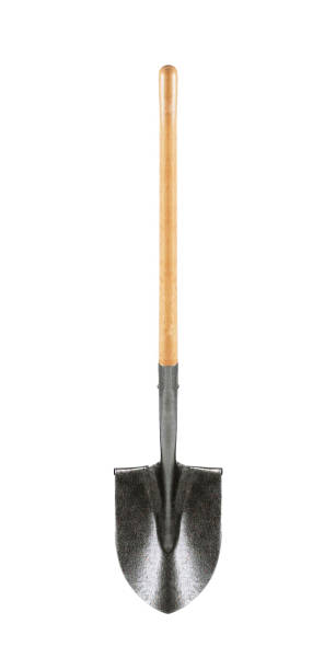 istock Shovel with wooden handle isolated on white background 1434161487