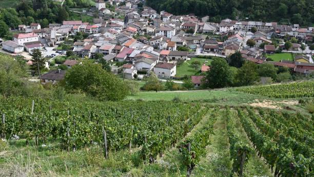 istock French village dominated by vineyards 1434163933