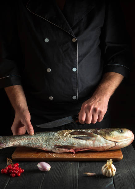 istock Professional chef prepares silver carp in the restaurant kitchen. Preparation for cutting fish with a knife. Work environment on the kitchen table 1434165624