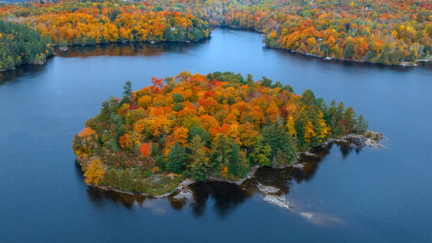 istock Aerial view of maple trees in autumn 1434167252
