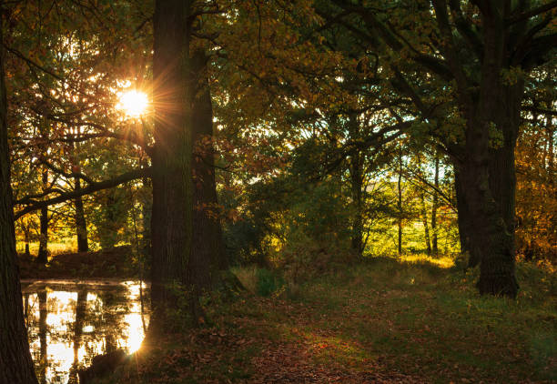 istock Foothpath in autumn forest near pod with reflection sun. Czech landscape 1434167269