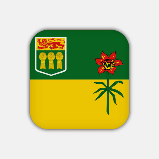 ilustraciones, imágenes clip art, dibujos animados e iconos de stock de bandera de saskatchewan, provincia de canadá. ilustración vectorial. - saskatchewan province canada flag