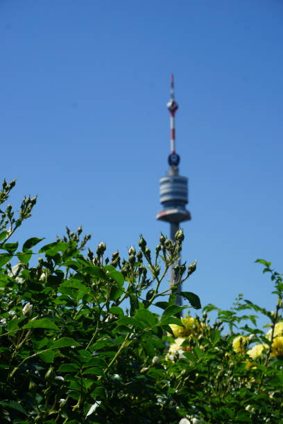 istock Donauturm, the Danube tower in Vienna, Austria 1434167626