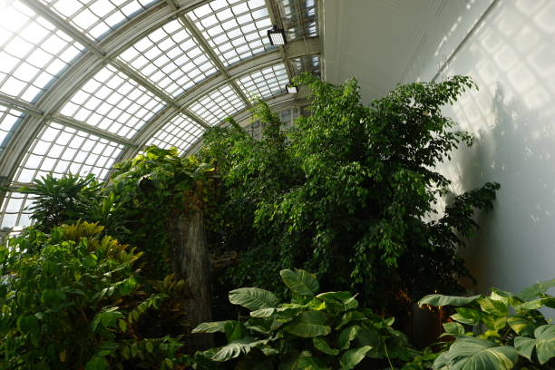 istock Inside the Imperial Butterfly House in Vienna 1434170108