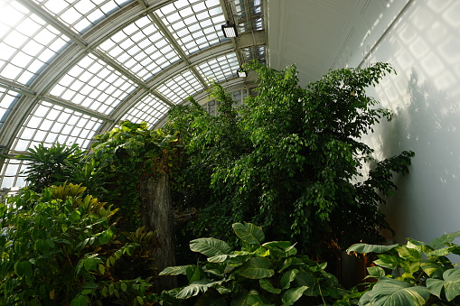 Inside the Imperial Butterfly House, or Schmetterlinghaus, in Vienna