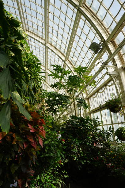 istock Inside the Imperial Butterfly House in Vienna 1434170304