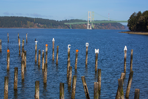 Titlow Beach park with pilings, decorative pumpkins, and the city name 