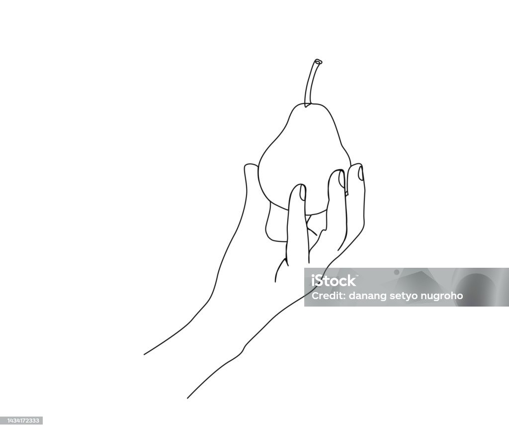 Object Line Drawing Pear Continuous One Line Drawing Of Hand Holding Pear Pear Fruit Line Art ...