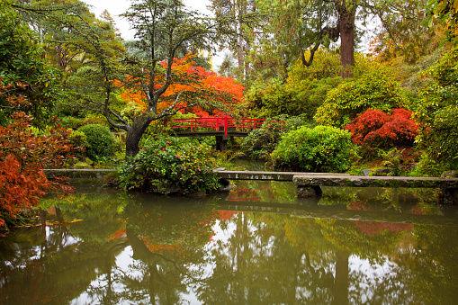 Beautiful fall colors and reflections at Kubota Garden in Seattle, WA