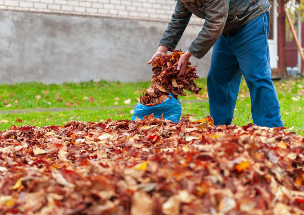 istock gardening in autumn 1434173782