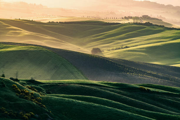istock Tuscany Landscape At Sunset - Val'd Orcia 1434179210