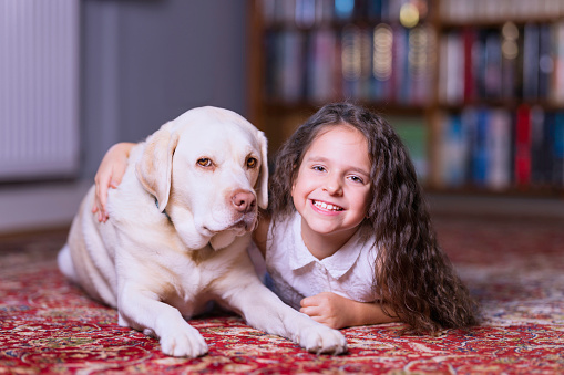Young girl and her Labrador lying on the carpet. Focus on girl.