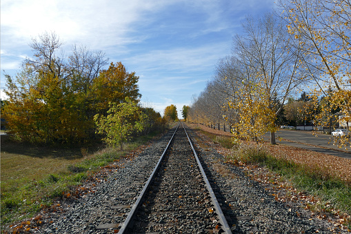 Set of 3 Railroad Tracks in a Rail Yard Going Around a Curve