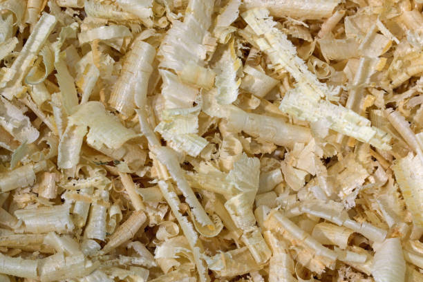 натуральная швейцарская сосновая щепа, также называемая pinus cembra - sawdust shavings wood chip pine стоковые фото и изображения