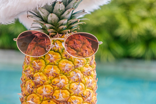 Funny pineapple wearing sunglasses and Santa Claus hat against pool and tropical plants in sunny weather in tropics. Christmas in tropics. Winter holidays in summer.