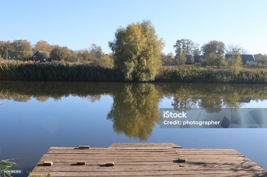 Beautiful view of the lake,  reeds and trees. Reflection of trees in the water. Beautiful view of the lake,  reeds and trees. Reflection of trees and reeds in the water. Autumn Stock Photo