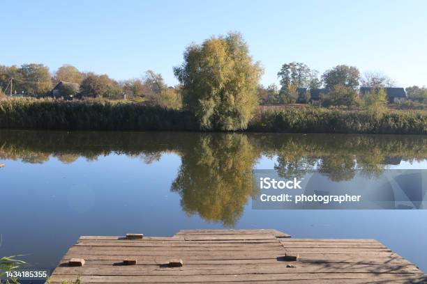 Beautiful View Of The Lake Reeds And Trees Reflection Of Trees In The Water Stock Photo - Download Image Now