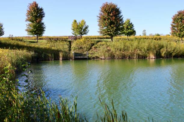 istock Pond in the Country 1434186446