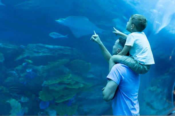 お父さんと息子は水族館で一緒に時間を過ごします。息子はお父さんの背中に座って水中の世界を探索します - 水族館 ストックフォトと画像