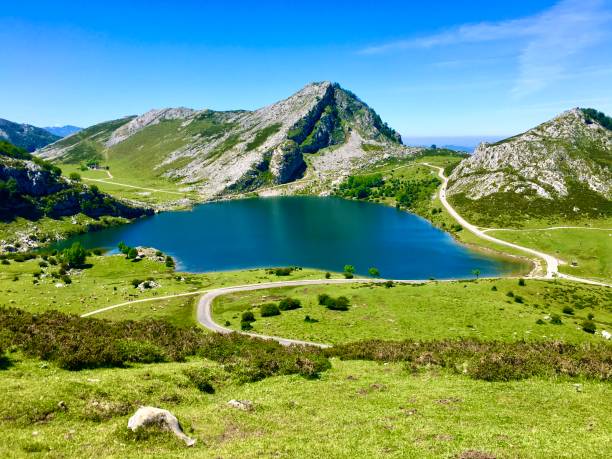 istock Covadonga lakes, mountain. Green. Grass. 1434188642
