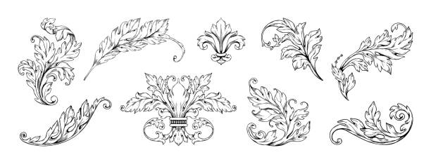 ilustrações, clipart, desenhos animados e ícones de enfeites barrocos vintage. flor filigrana floresce, moldura de redemoinho floral vitoriano, ornamentado decorativo. flores florescendo e folhas de decoração, elementos isolados de design botânico de gravura. conjunto vetorial - acanthus pattern