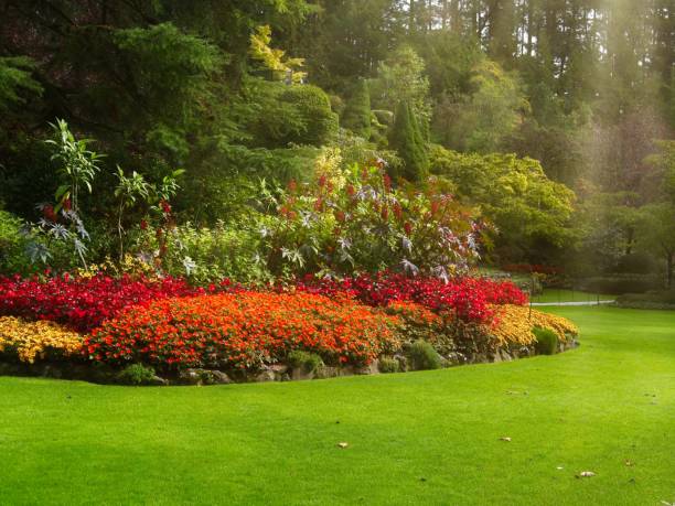 istock Flower bed with red, orange and yellow flowers 1434193014