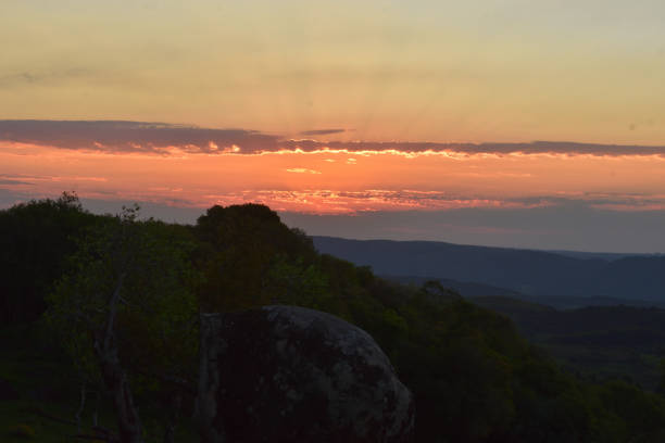 sky collection - brasil - pôr do sol incrível em caçapava do sul - locust tree landscape scenics - fotografias e filmes do acervo