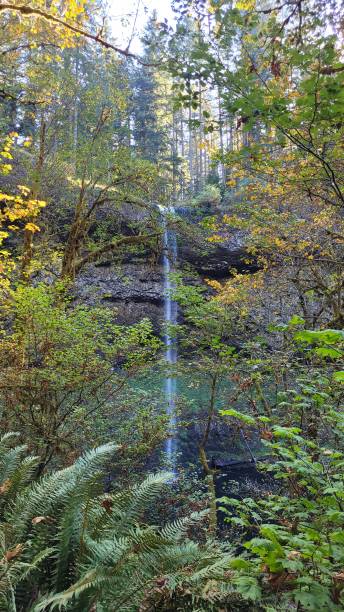 istock Waterfall amongst the leaves 1434195121