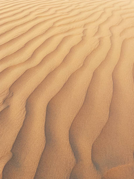 istock Shot of a natural pattern on a dune sand 1434197144