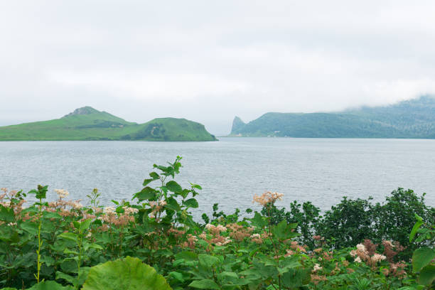 island landscape with a foggy lagoon and vegetation in the foreground island landscape with a foggy lagoon and vegetation in the foreground kunashir island stock pictures, royalty-free photos & images