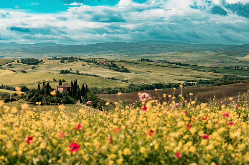 Tuscany Landscape - Val'd Orcia, Italy