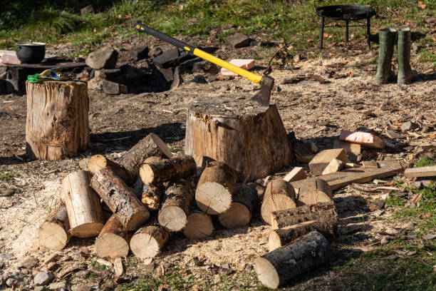istock Stack of firewood in the rural place 1434205225